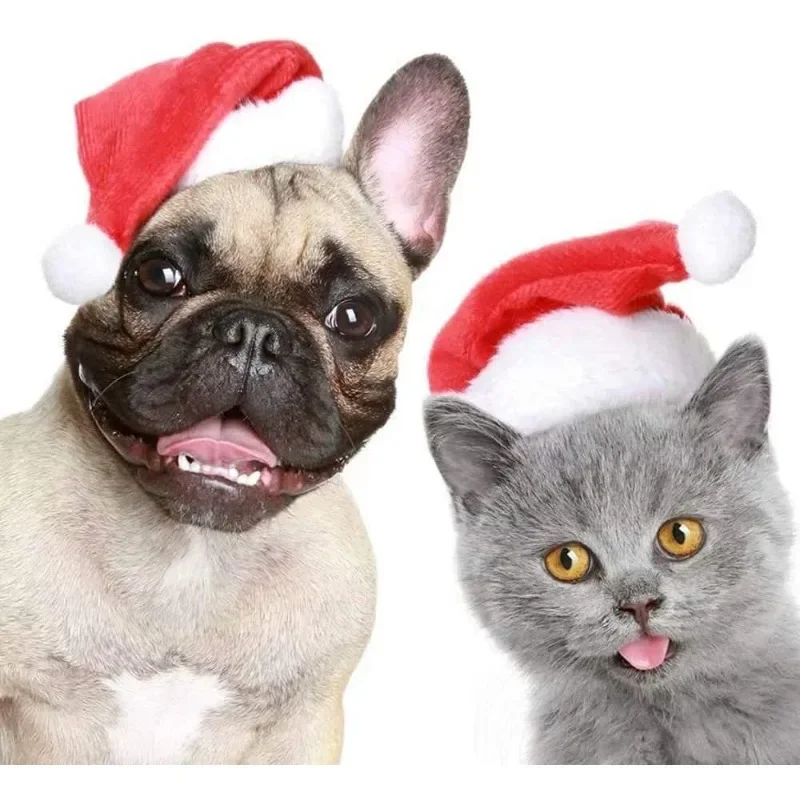 Christmas Pet Santa Hat Red Pl - Santa Hat Plush 评论和价格