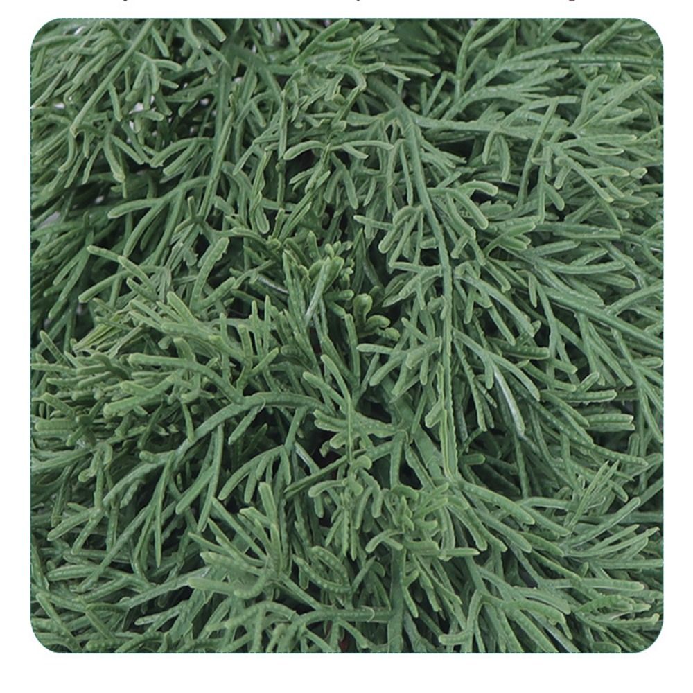 Green Artificial Pine Branch C - Christmas Wreath Fake 评论和价格