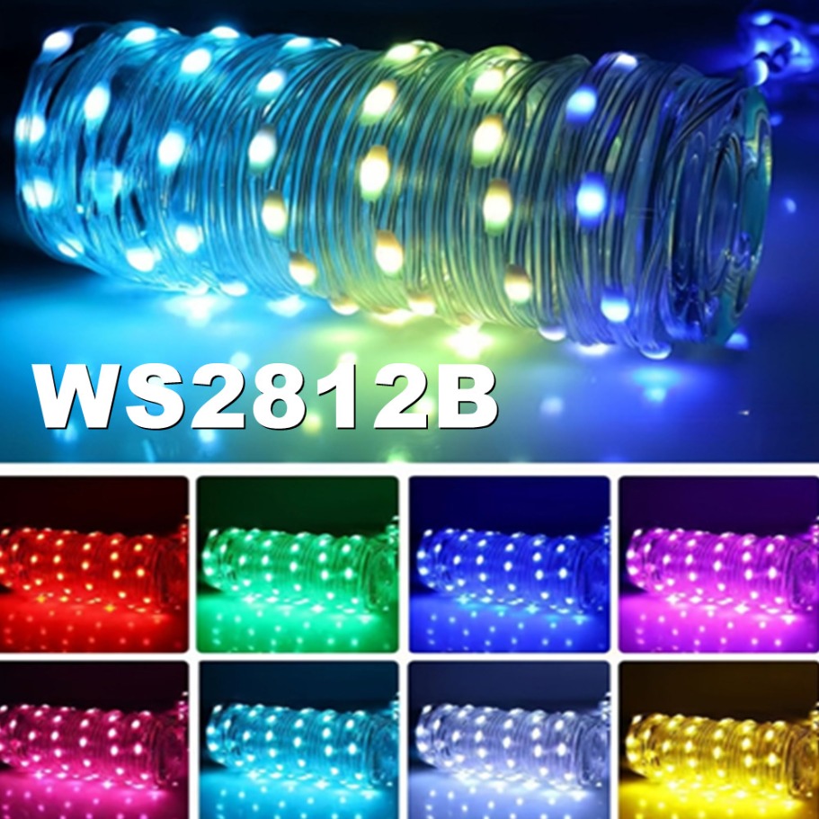 WS2812B LED Light String Smart - Led Fairy String Lights 评论和价格