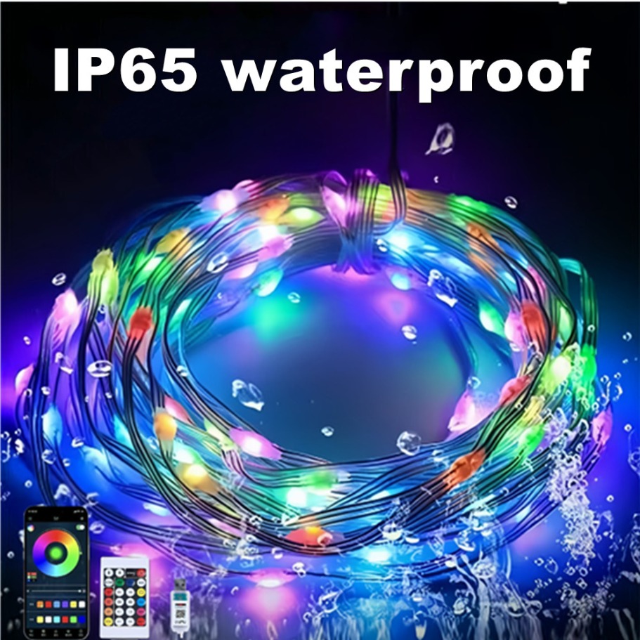 WS2812B LED Light String Smart - Led Fairy String Lights 评论和价格